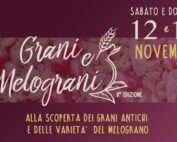 Grani e Melograni - Faenza